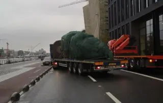 mature tree logistics