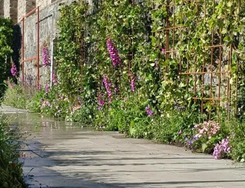 Green Cities  in Bloom